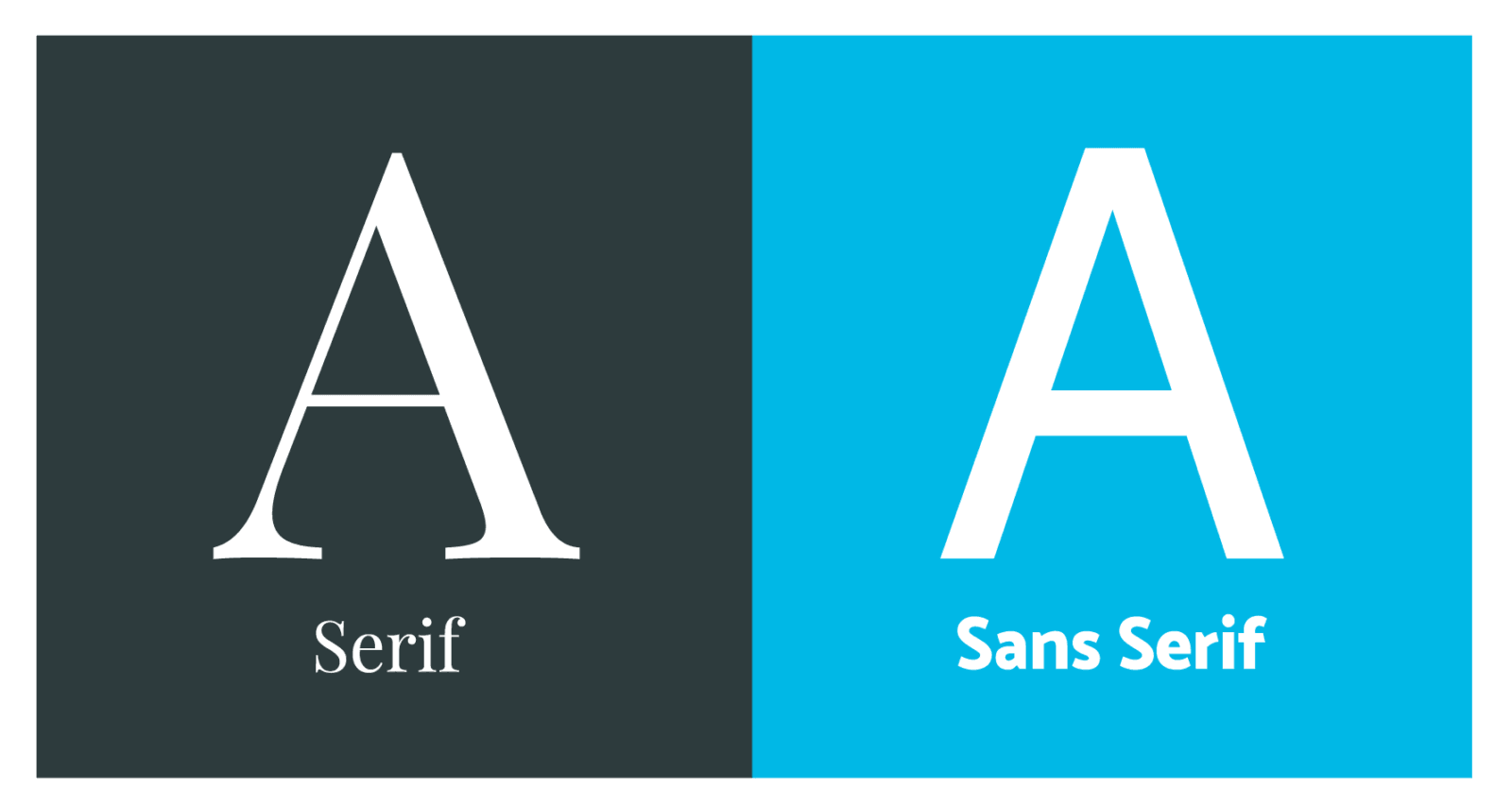 Examples of a Sans Serif and a Serif font