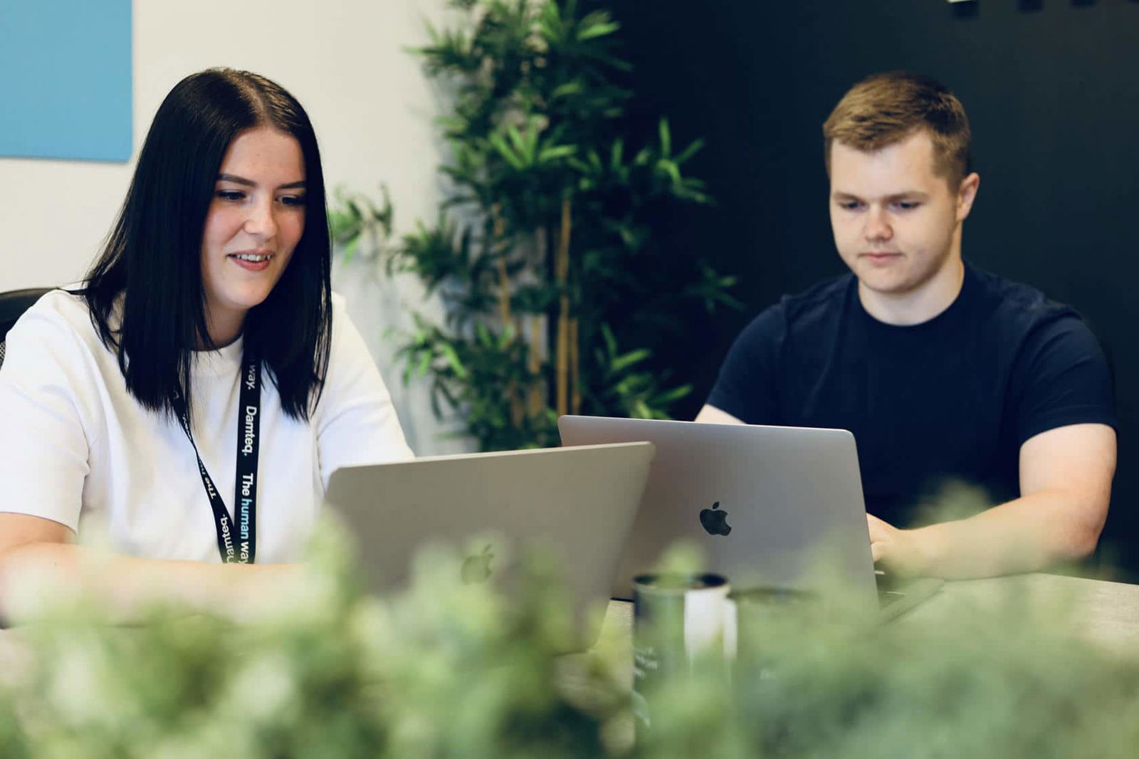 Two of Damteq's PPC specialists working on their laptops in the office boardroom.